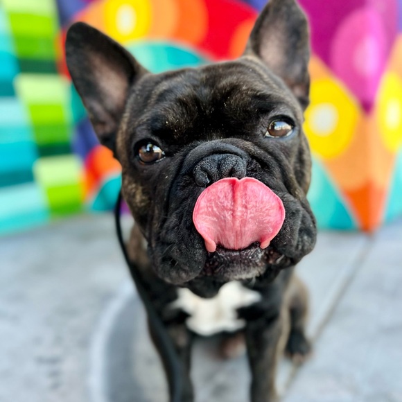 Meet your Posher, Tracie - Picture 5 of 14